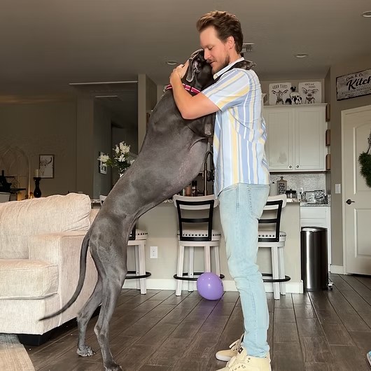 Titan, Great Dane